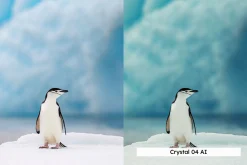 20 Arctic Lightroom Presets LUTs