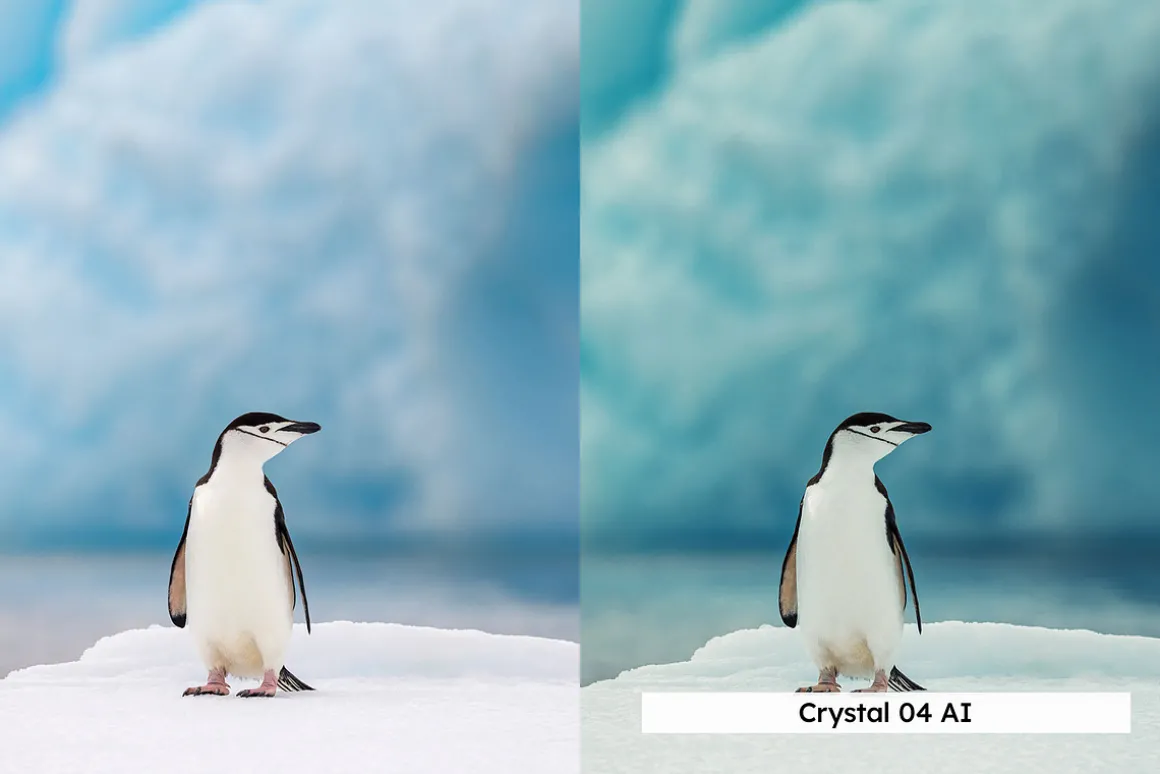 20 Arctic Lightroom Presets LUTs