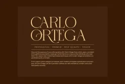 Aroges Elegant Serif Font