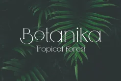 Arrogant Font