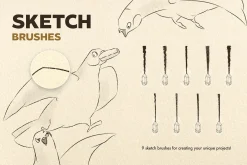 Artista Brushes for Illustrator