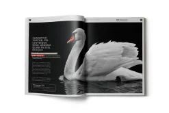 Art-ist Magazine Template Vol.1