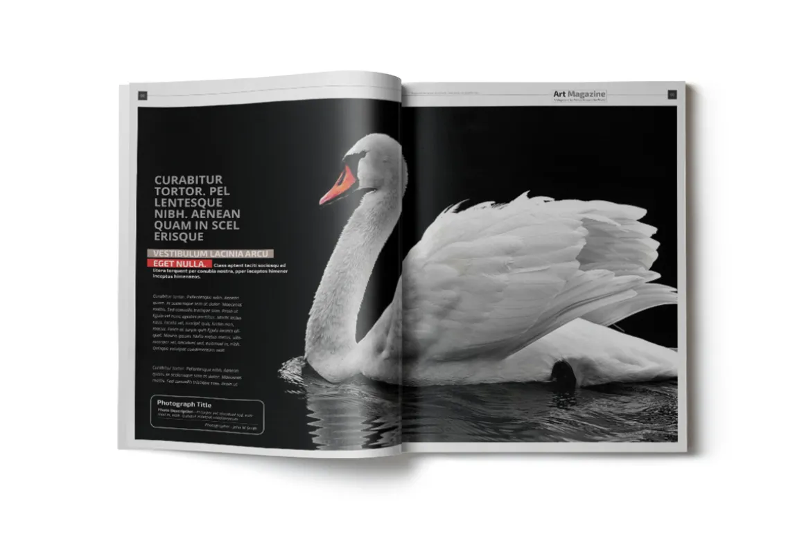 Art-ist Magazine Template Vol.1