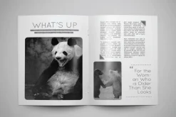 A5 Sixth Magazine Template
