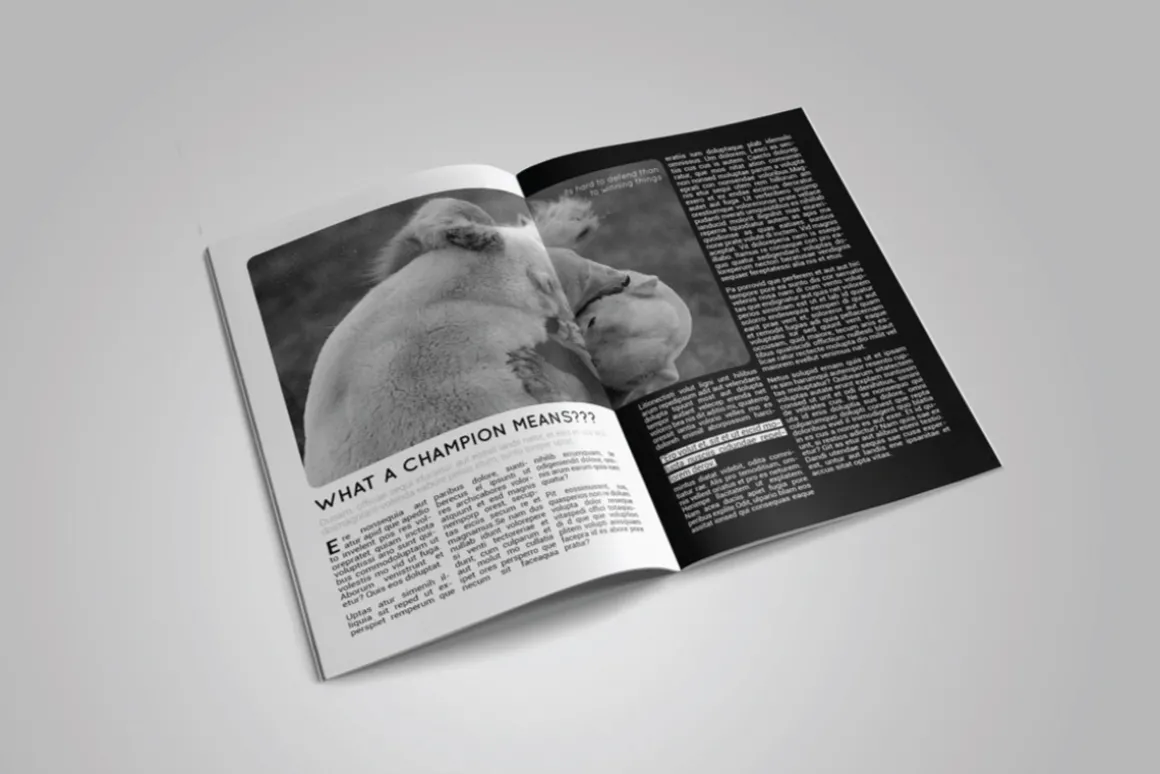 A5 Sixth Magazine Template