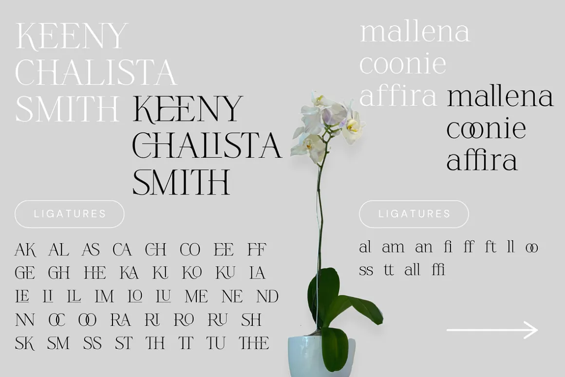 Askilon - Beautiful Serif Font