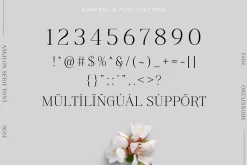 Askilon - Beautiful Serif Font