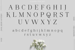 Askilon - Beautiful Serif Font