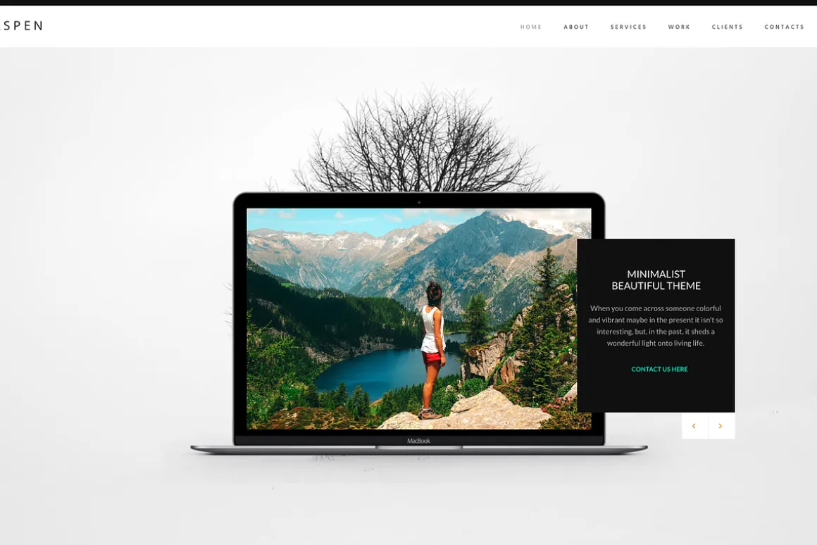Aspen - Minimalist WordPress Theme