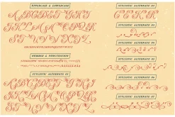 Astria – Fancy Typeface