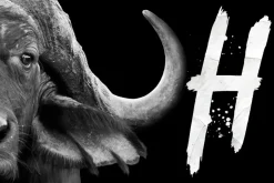 Atone - Brush Font
