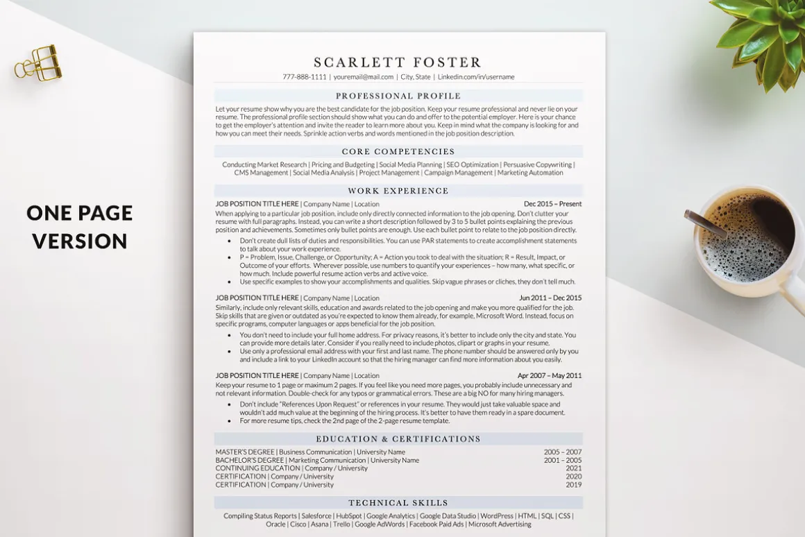 ATS Friendly Executive Resume / CV