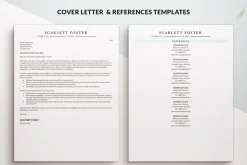 ATS Friendly Executive Resume / CV