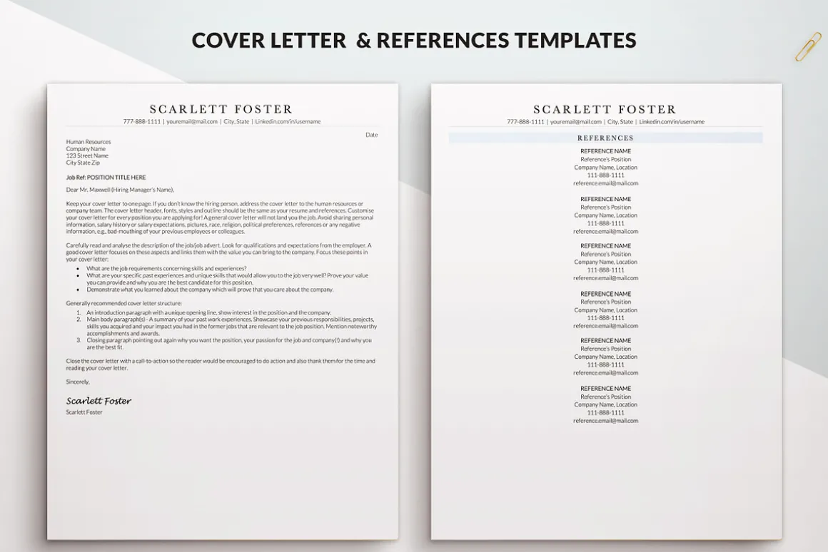 ATS Friendly Executive Resume / CV
