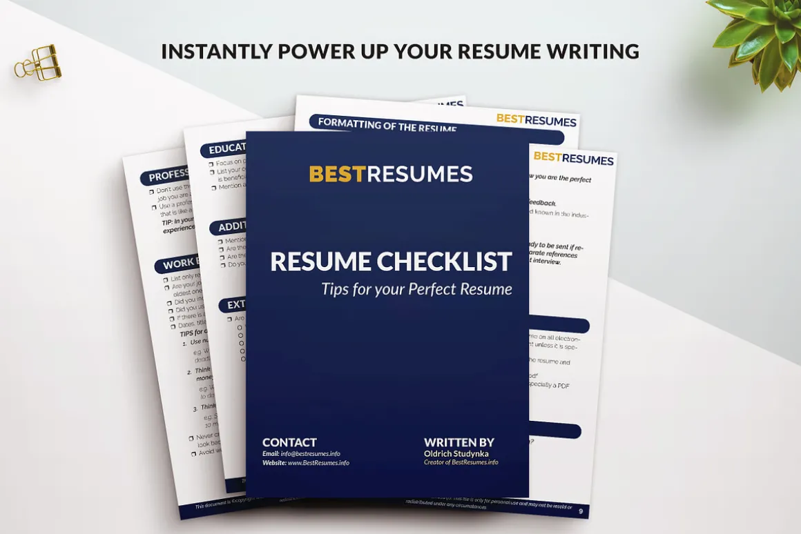 ATS Friendly Executive Resume / CV