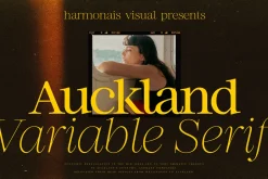 Auckland Variable Serif