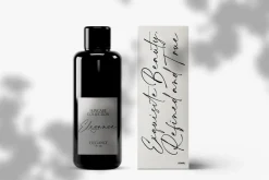 Aurellie Calestion Signature Font
