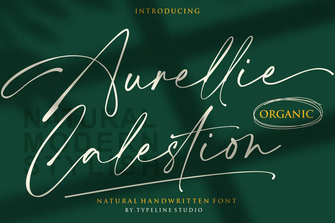 Aurellie Calestion Signature Font