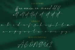 Aurellie Calestion Signature Font
