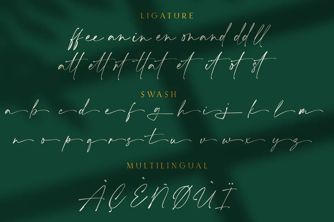 Aurellie Calestion Signature Font