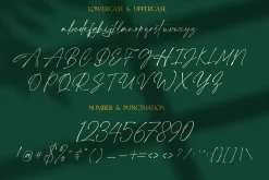 Aurellie Calestion Signature Font