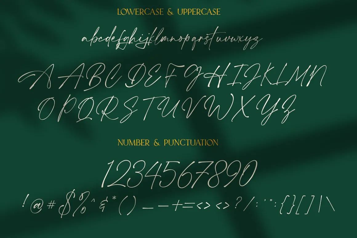 Aurellie Calestion Signature Font