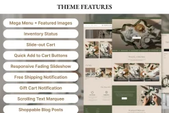 Aurielle Elevate Shopify Theme