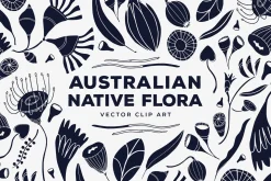 Australian Flora Vector Set