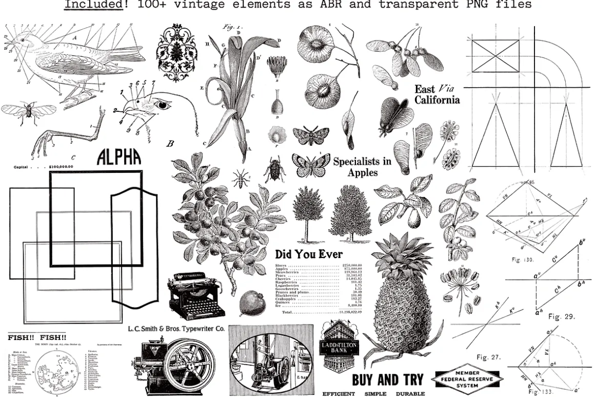 Automatic Typewriter Font and Extras