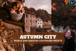 Autumn City Lightroom Presets