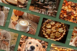 140 Autumn Aesthetic Stock Photos