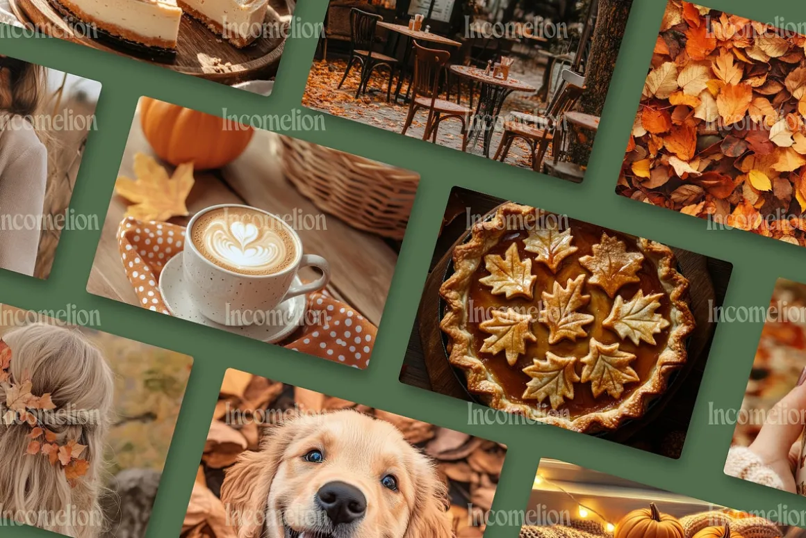 140 Autumn Aesthetic Stock Photos