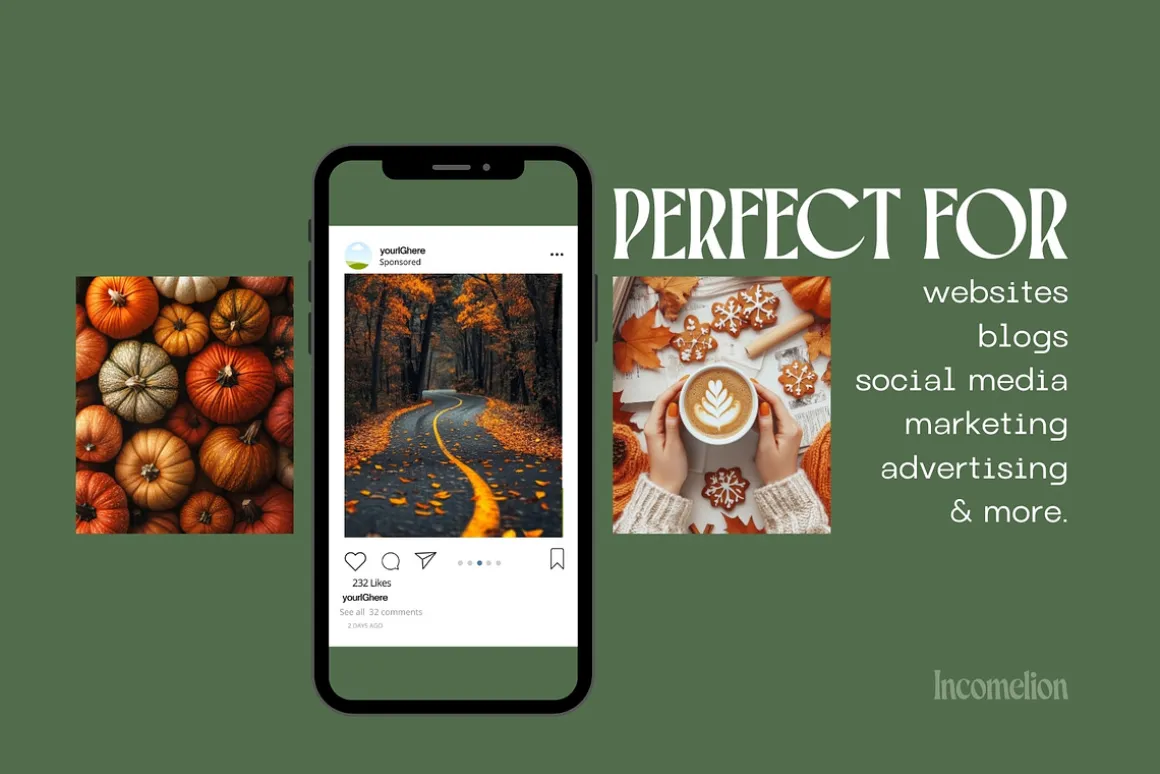 140 Autumn Aesthetic Stock Photos