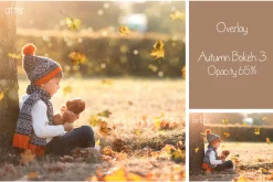 30 Autumn Bokeh Overlays