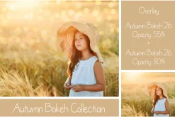 30 Autumn Bokeh Overlays