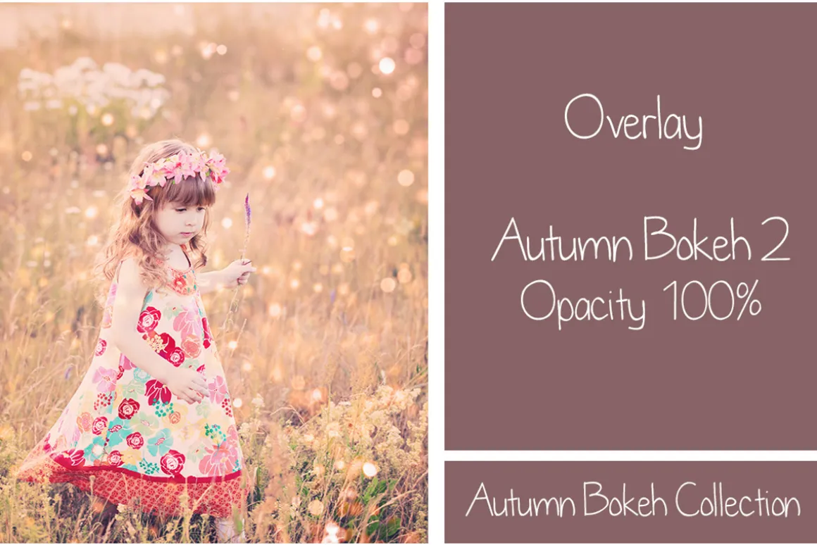 30 Autumn Bokeh Overlays