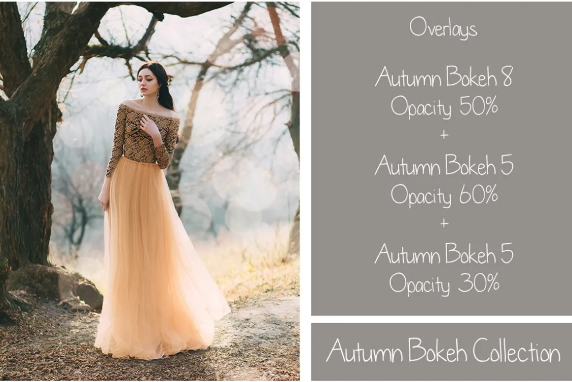 30 Autumn Bokeh Overlays