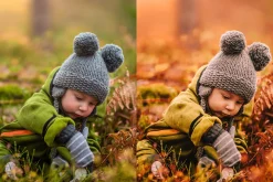 10 Autumn - Fall Lightroom Presets