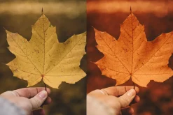 10 Autumn - Fall Lightroom Presets
