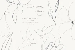 Autumn Fine Art Flower Illustrations