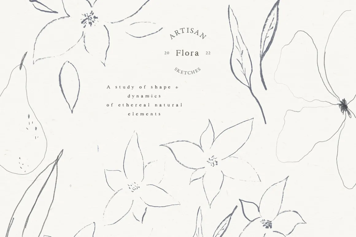Autumn Fine Art Flower Illustrations