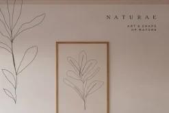 Autumn Fine Art Flower Illustrations