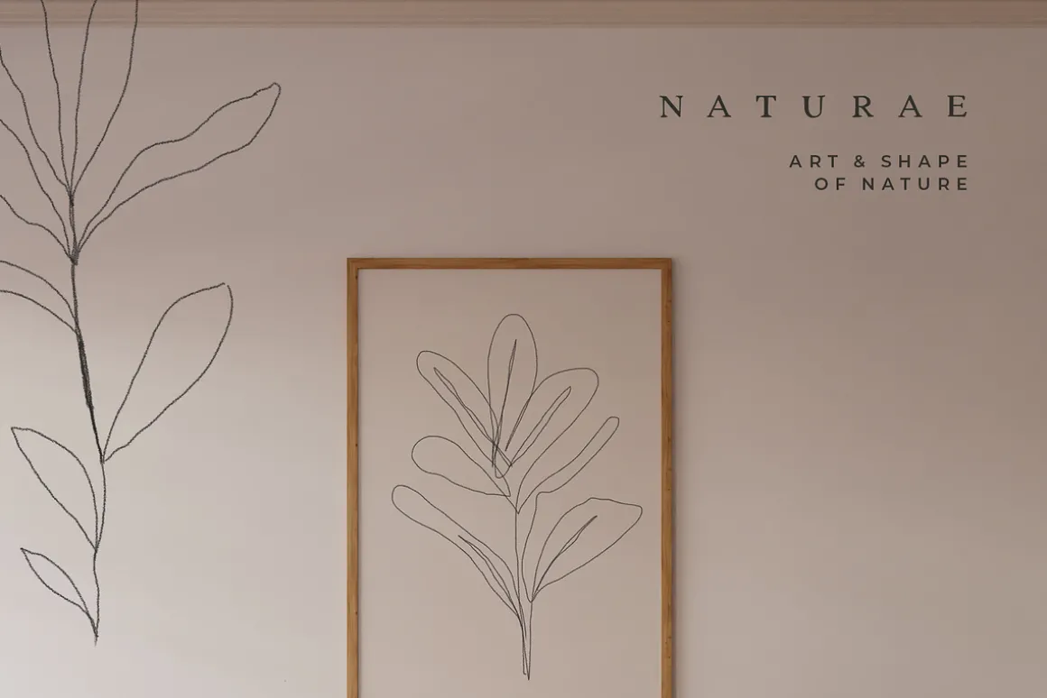 Autumn Fine Art Flower Illustrations