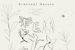 Autumn Fine Art Flower Illustrations