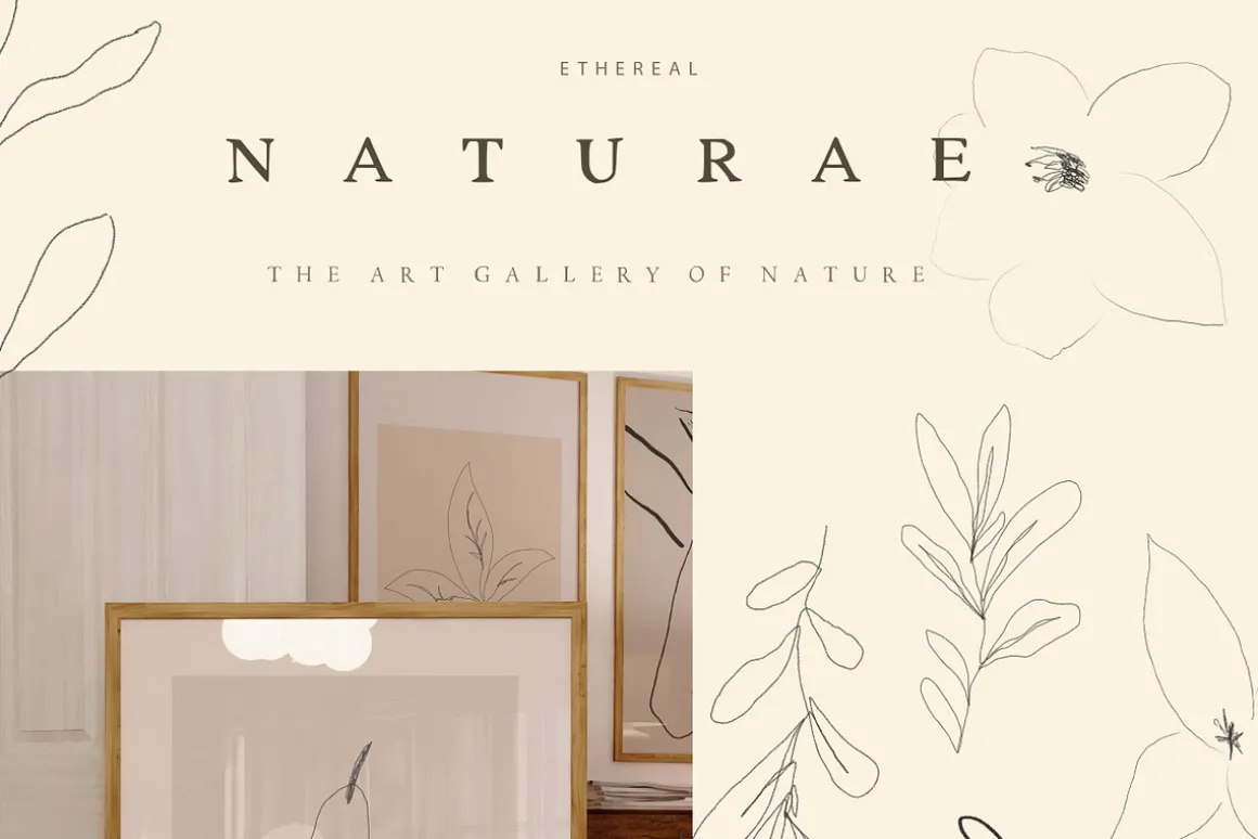 Autumn Fine Art Flower Illustrations