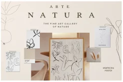 Autumn Fine Art Flower Illustrations