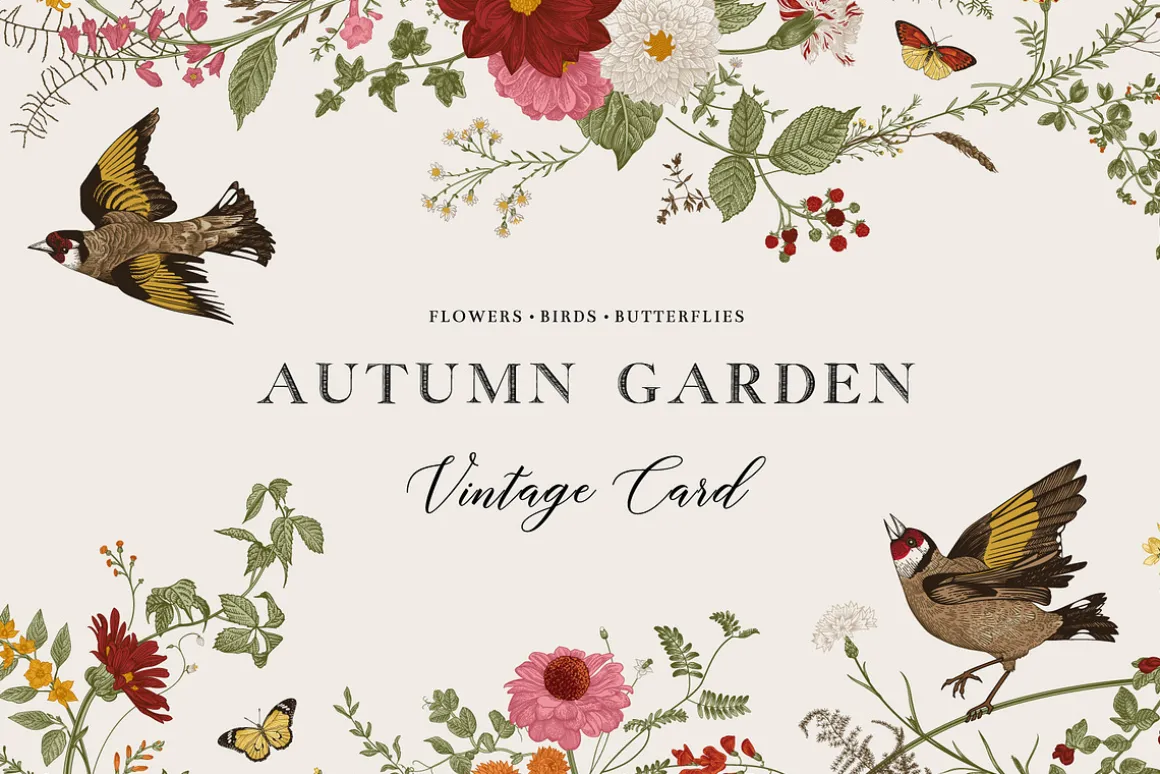 Autumn Garden. Color
