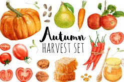 Autumn Harvest Set