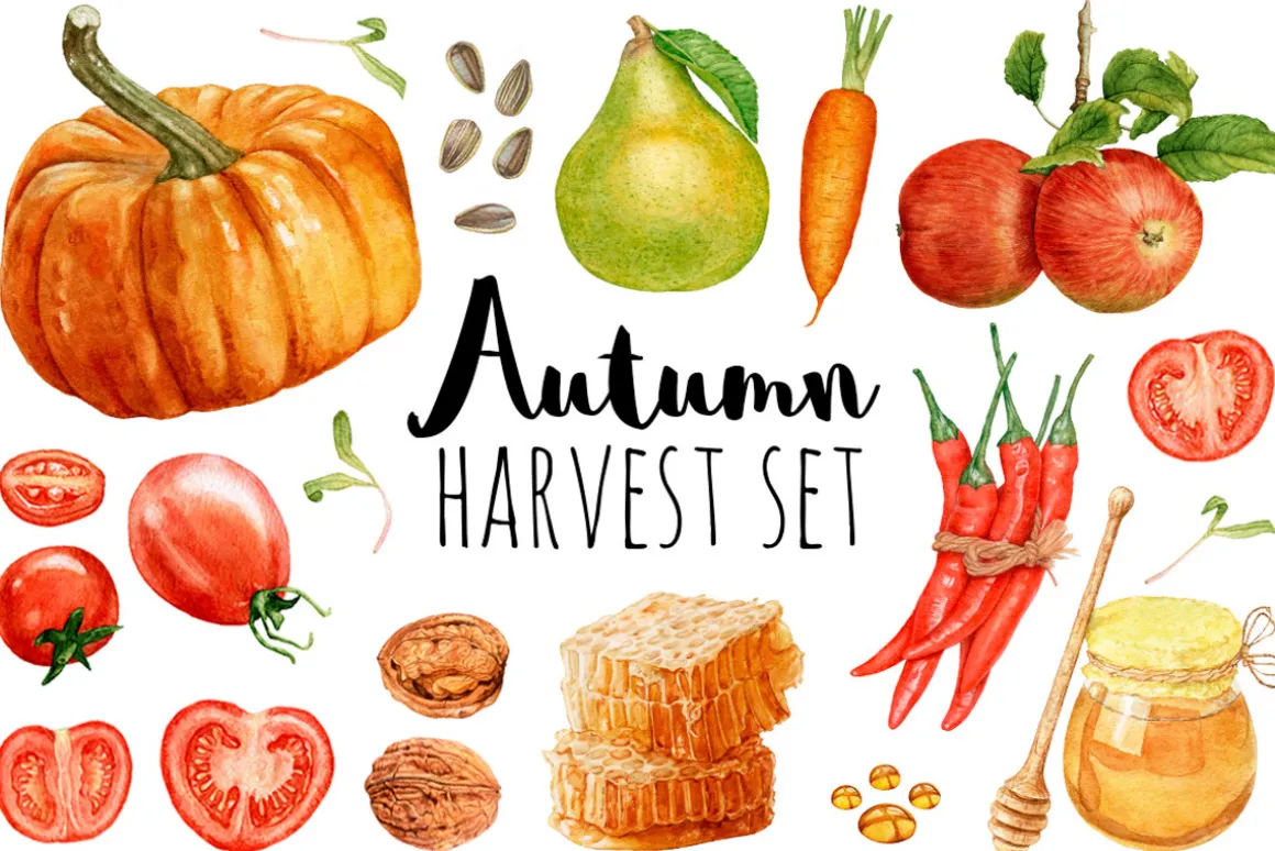 Autumn Harvest Set