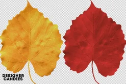 Autumn Leaves